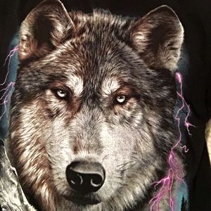 Meet your Posher, Paul